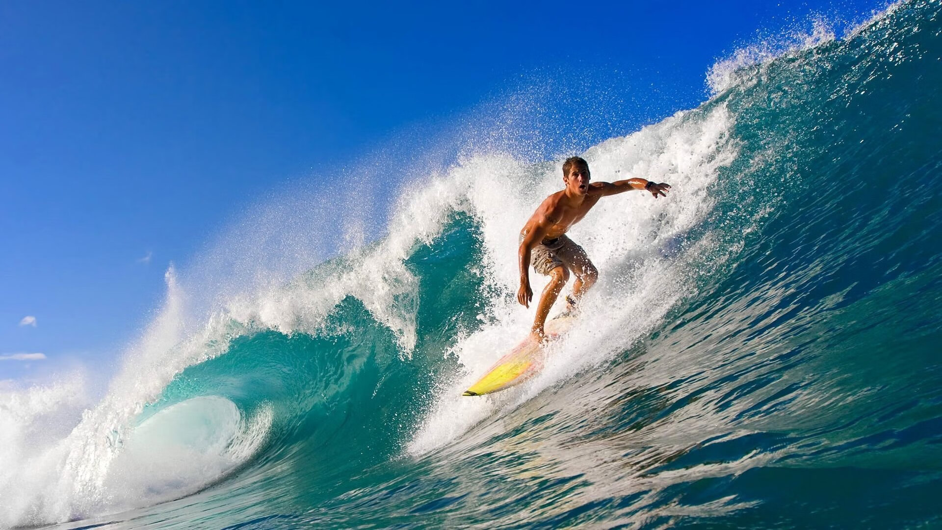 仰泳赛场比利时选手节奏精准,仰泳 backstroke 2017